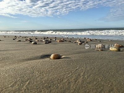 福塔莱泽， 坎布科， 巴西风筝冲浪天堂